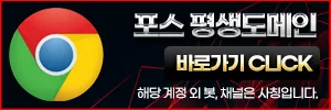 평생도메인 안내